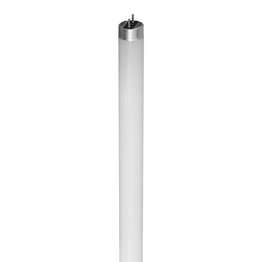 T8 13watt LED 4ft Tubes (Box of 25)